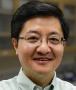 Yong Wang